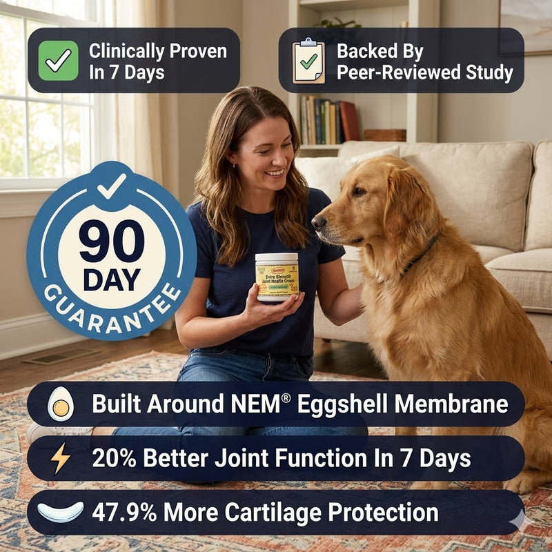 Zoomies Premium Joint Health Chews - Improved Formula