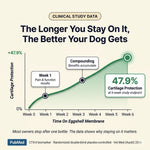 Zoomies Premium Joint Health Chews - Improved Formula
