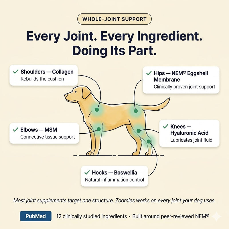 Zoomies Premium Joint Health Chews - Improved Formula