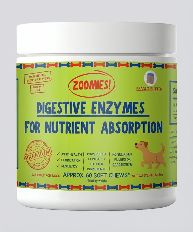 Digestive Enzymes for Nutrient Absorption (3-Pack)
